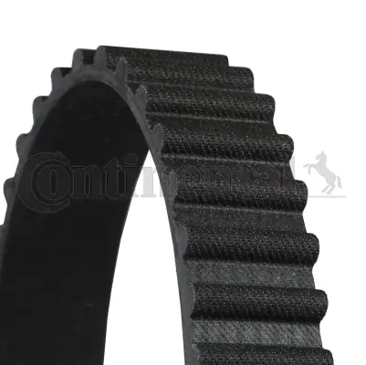 Timing Belt